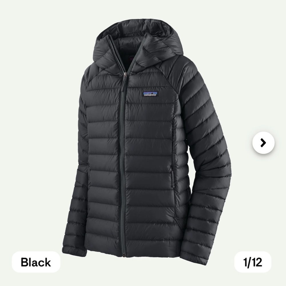 EUC Patagonia Down Sweater Hoody